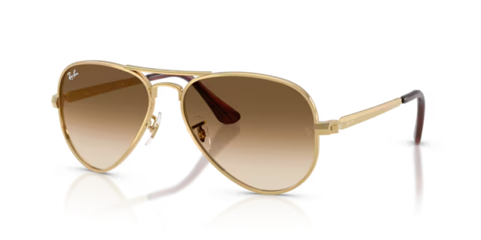 Ray-Ban RB3925 Aviator Max 001/51