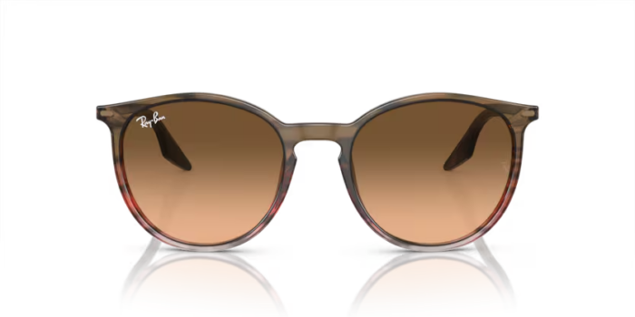 Alternative view of Ray-Ban RB2204 1395/3B