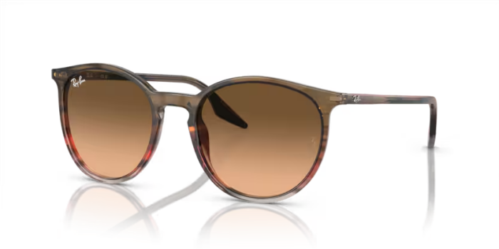 Ray-Ban RB2204 1395/3B