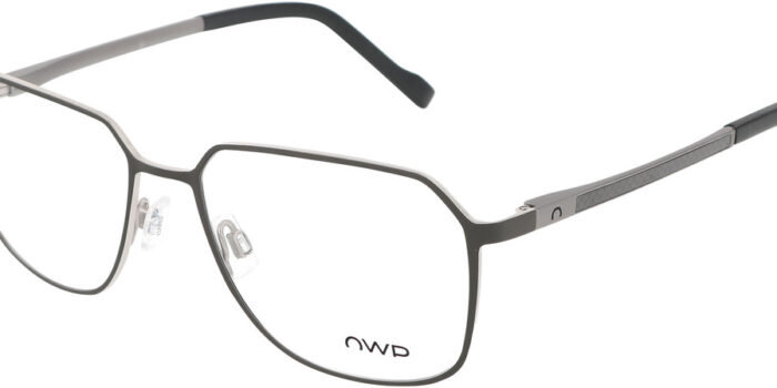 Alternative view of OWP 8765 300 56-17