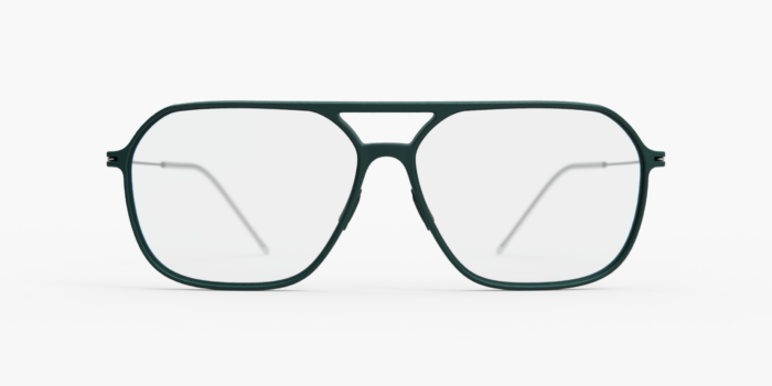 Alternative view of Annu Pilot 04 L Forest