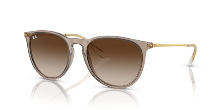 Ray-Ban RB4171 Erika 6744/13