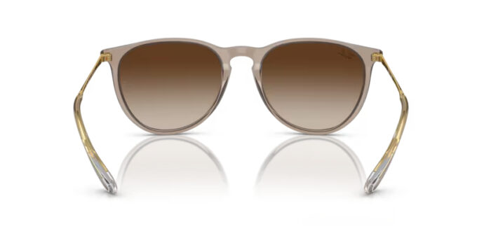 Alternative view of Ray-Ban RB4171 Erika 6744/13