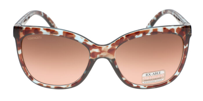 Alternative view of Serengeti Agata Shiny Blue Tortoise PDGR